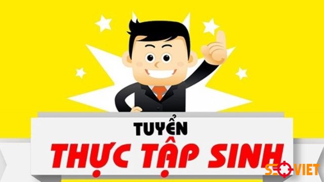 Tuyển dụng thực tập SEO 2021 tại Hà Nội – Seo Việt
